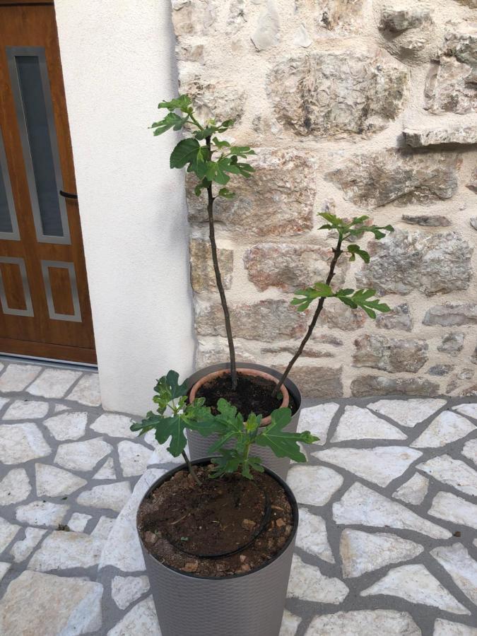 Old Town Apartment Tonka Hvar Town Exterior photo